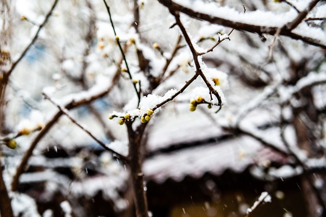 冰雪经济在