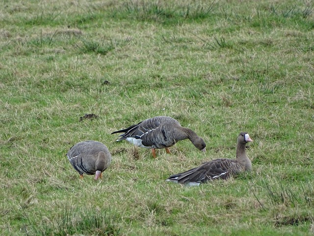 以一次精准 以一次精准