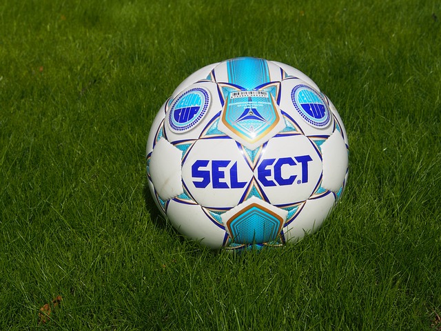 这种灵活的 这种灵活的