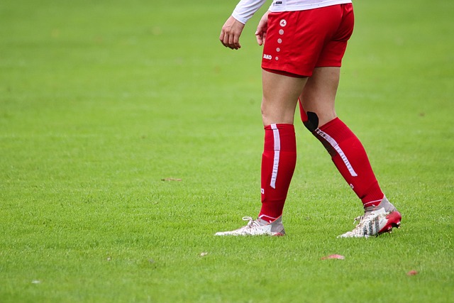 除了球员的 除了球员的