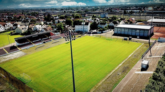 为队友挺身 为队友挺身