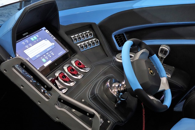 未来的美乌 未来的美乌