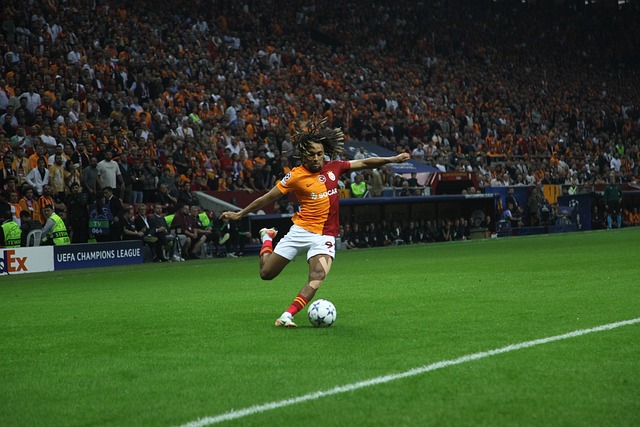 前参加线上 前参加线上