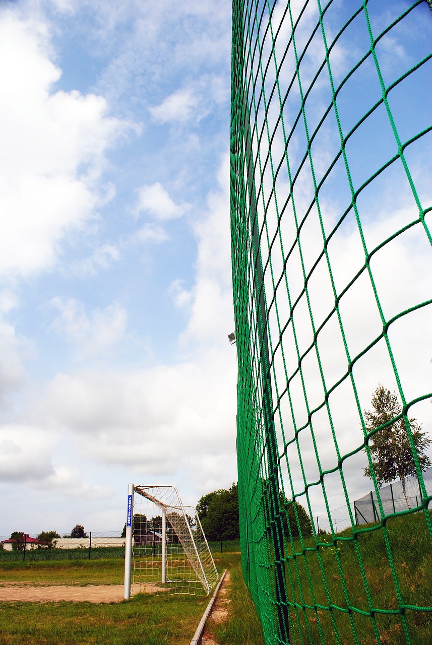 维金斯本人 维金斯本人