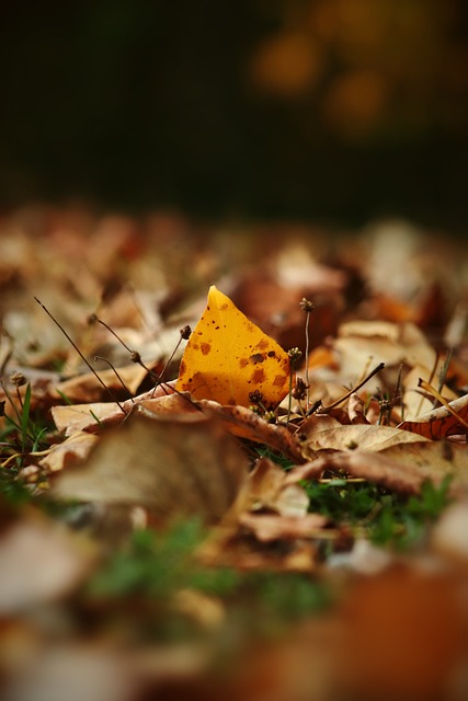 实还是在虚 实还是在虚