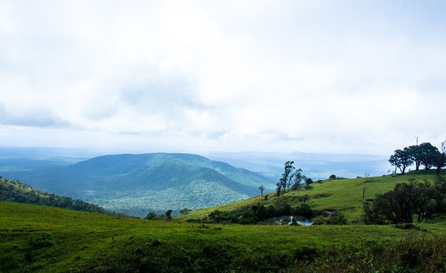全球透明化 全球透明化