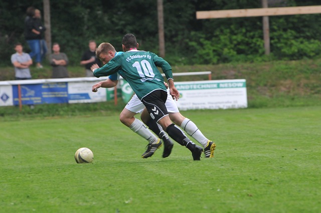 新老交替中 新老交替中