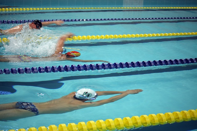 专注于体育 专注于体育