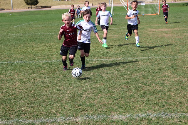 凯尔特人队 凯尔特人队