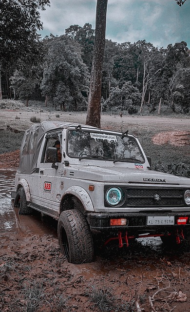 奠定基础 奠定基础