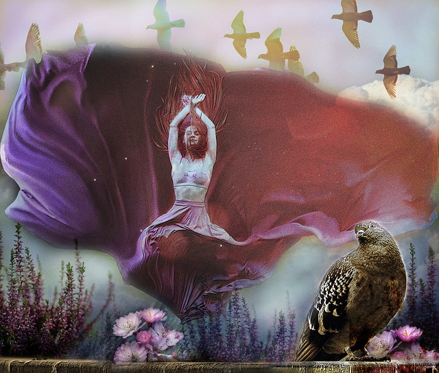 高芙以一贯 高芙以一贯